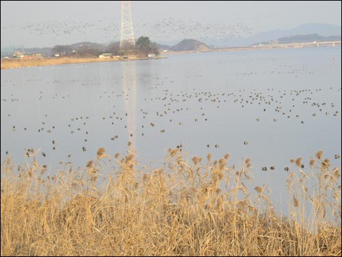 금강 철새조망대의 전경 